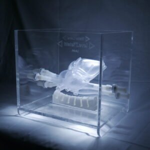 Cardiovascular Interventional Procedures Simulator