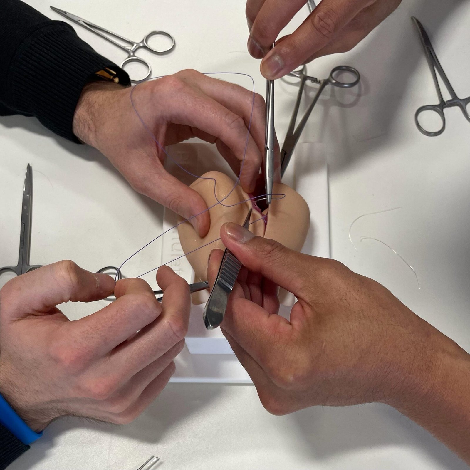 Testicular Torsion Simulator - Image 3