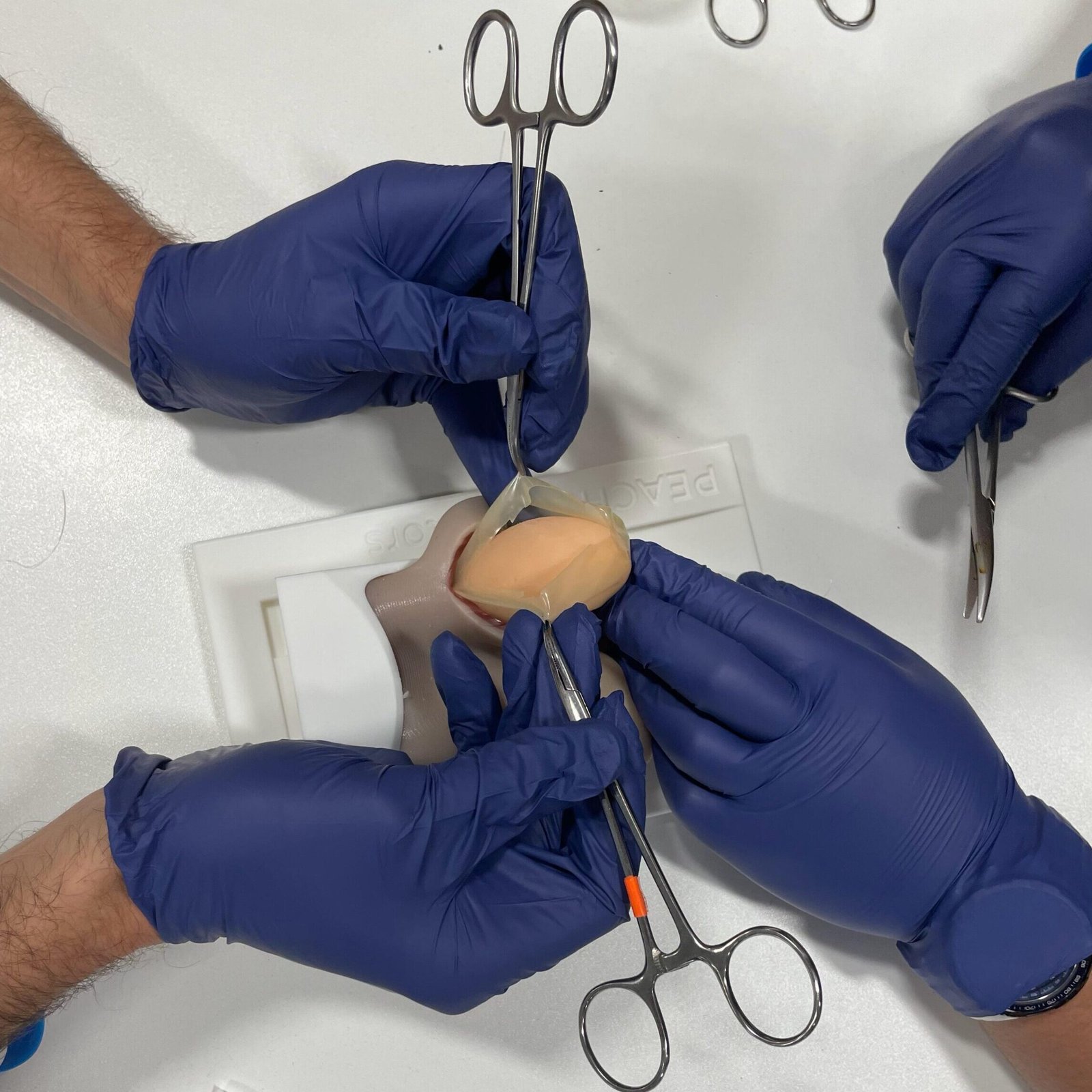 Testicular Torsion Simulator - Image 2
