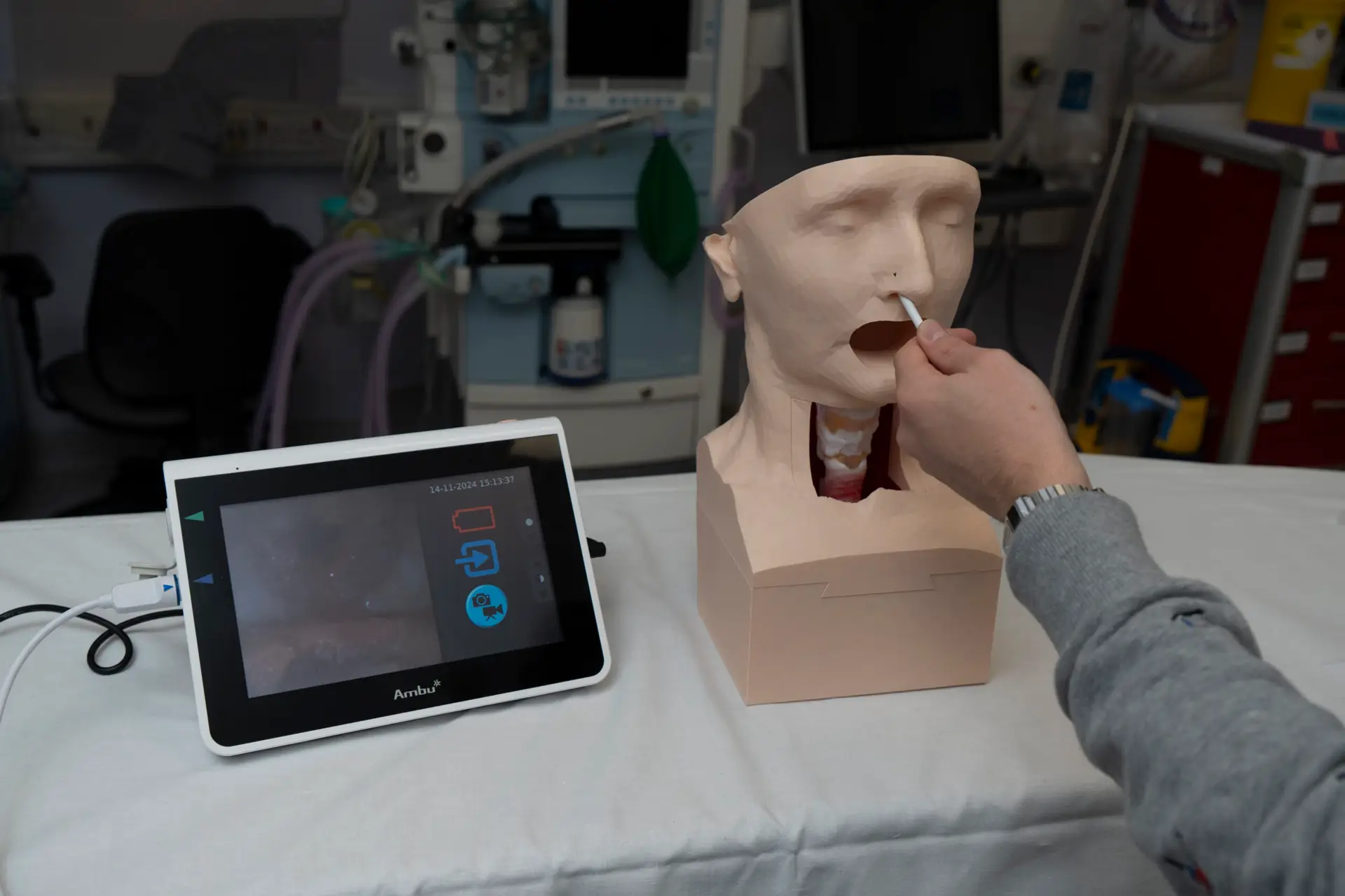 Laryngology Model - Flexible laryngoscopy and upper oesophageal dilatation - Image 3