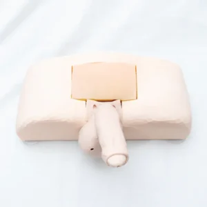 Penile Implant Surgical Practice Model
