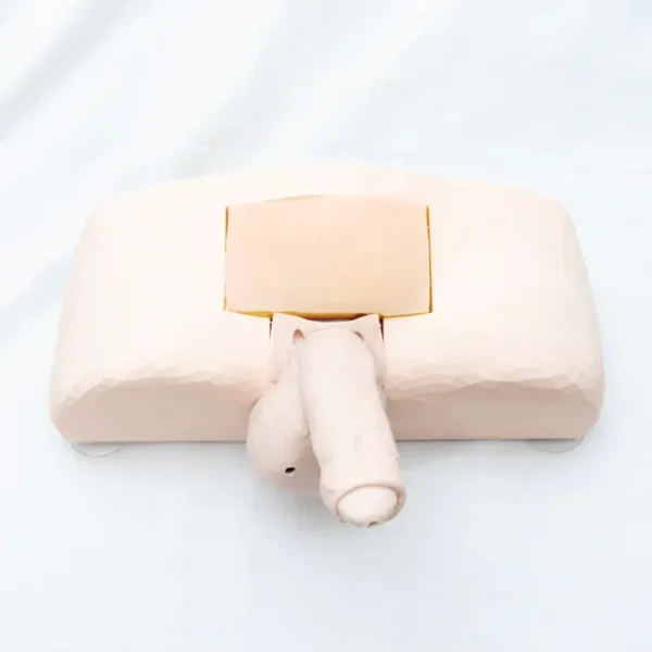 Penile Implant Surgical Practice Model