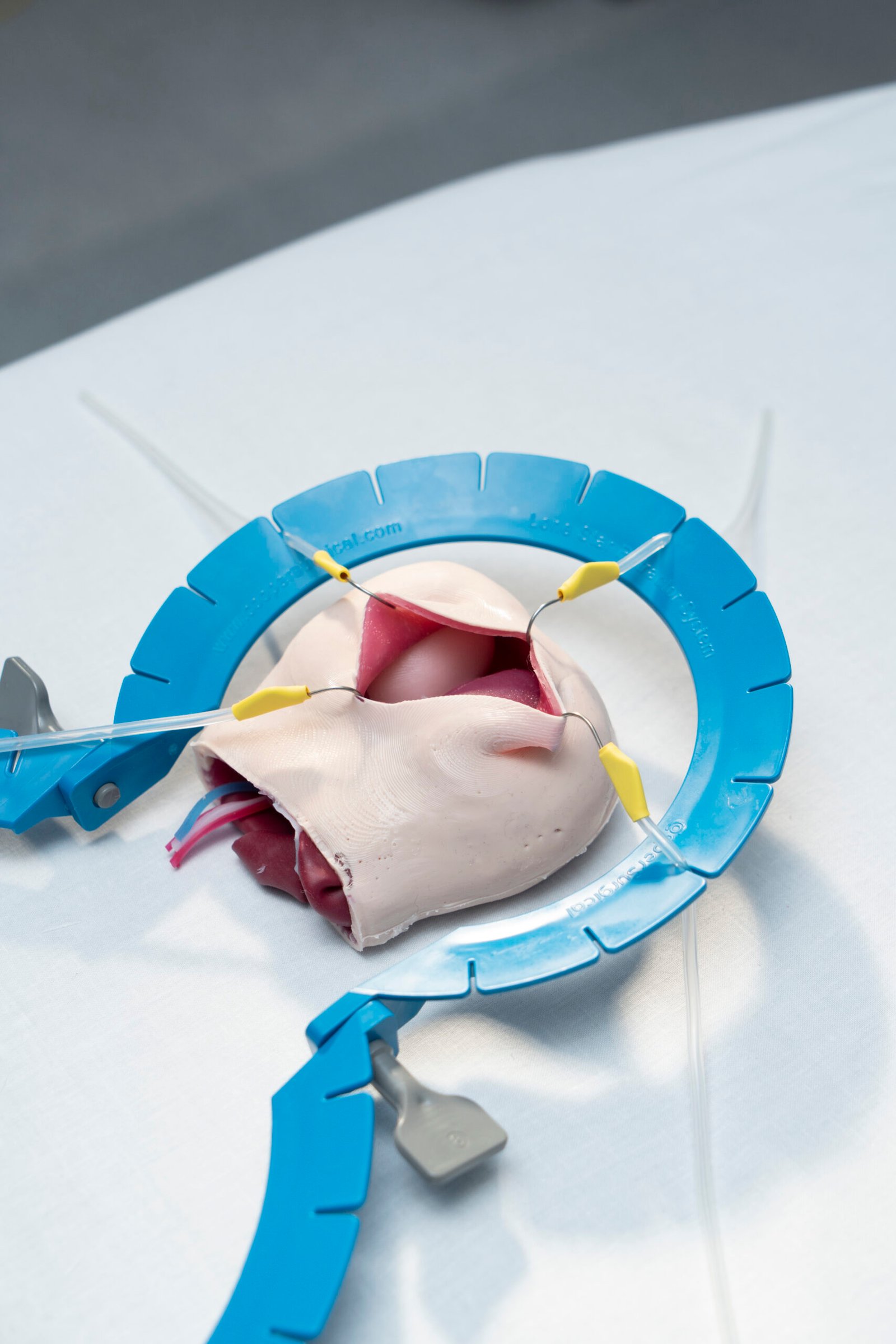 Testicular Torsion Simulator - Image 4
