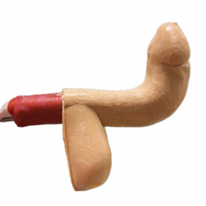 Peyronie's Disease Surgical Simulator